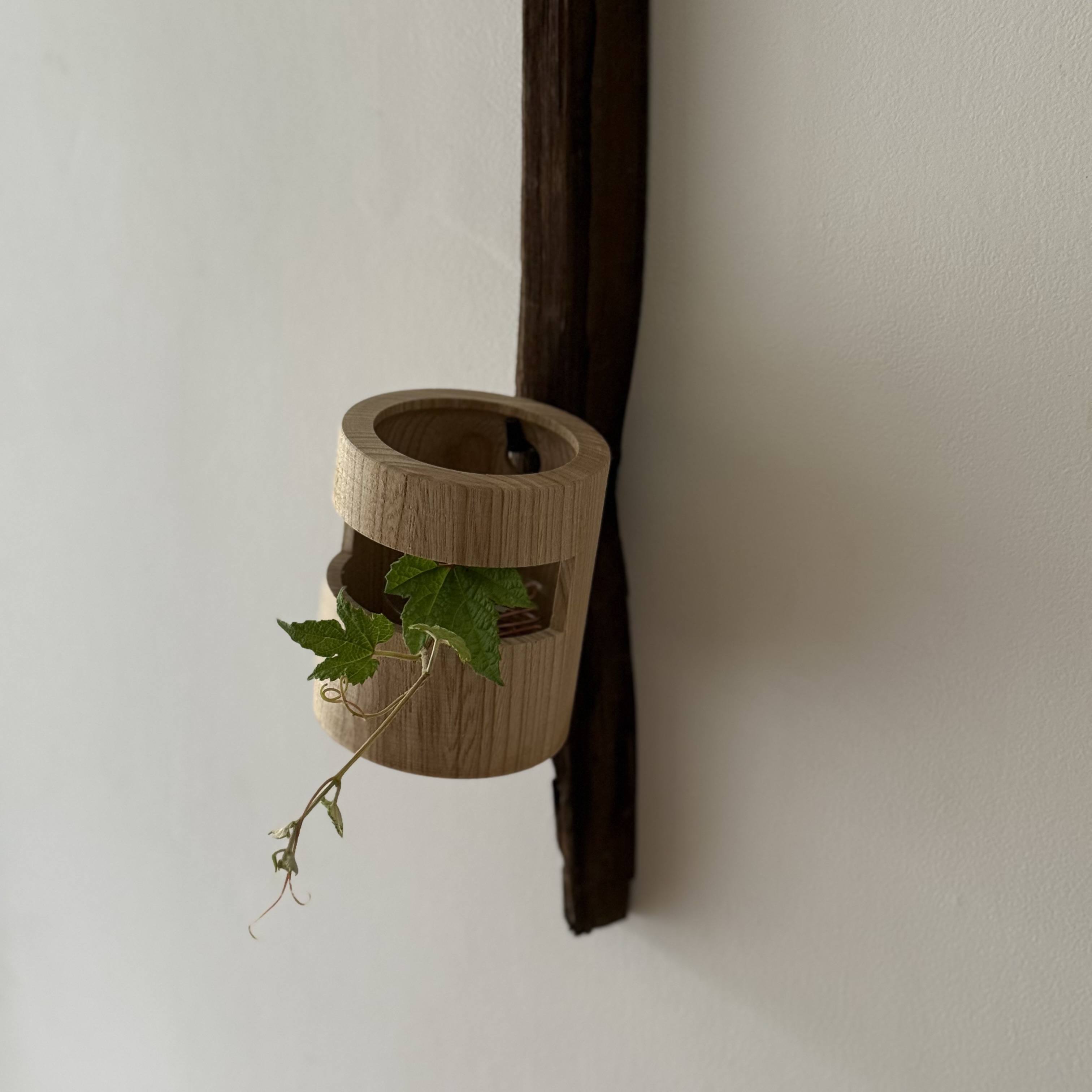【田澤祐介 展】- 森ヲ想フ - online shop販売のお知らせ