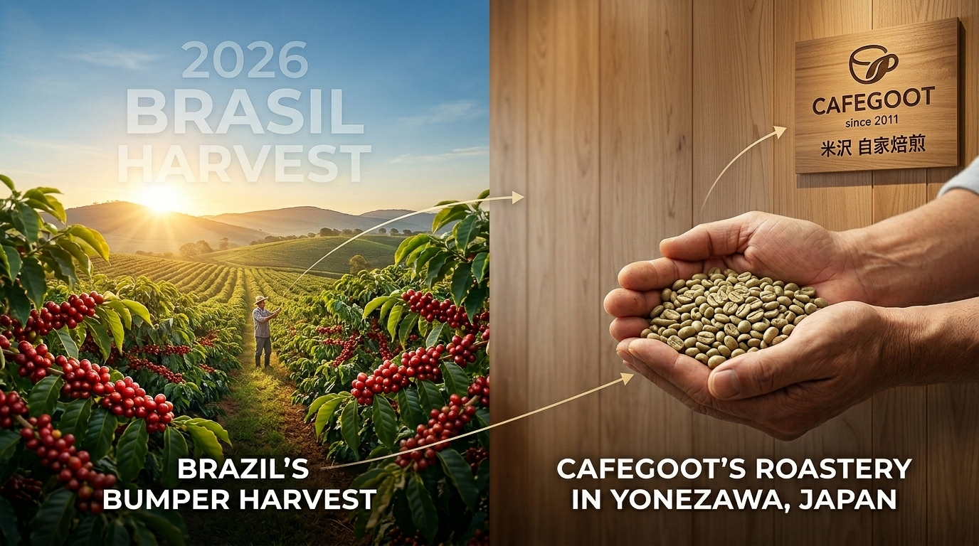 【ブログ第４回】「コーヒーの値上げ」は終わる？世界的な豊作と、これからの価格。