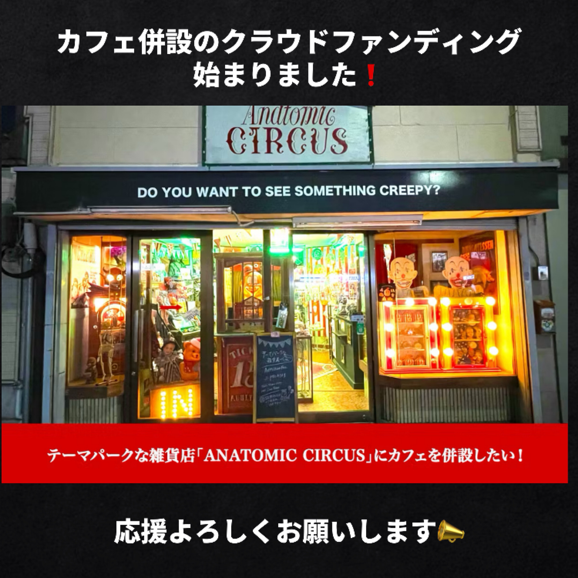 ☕️カフェ併設のクラウドファンディング始まりました☕️