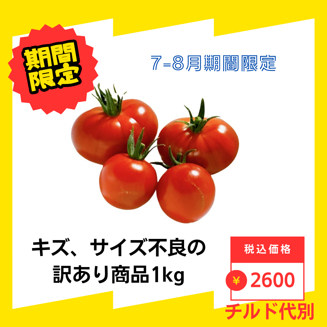 今まで出してこなかったレア商品です🍅