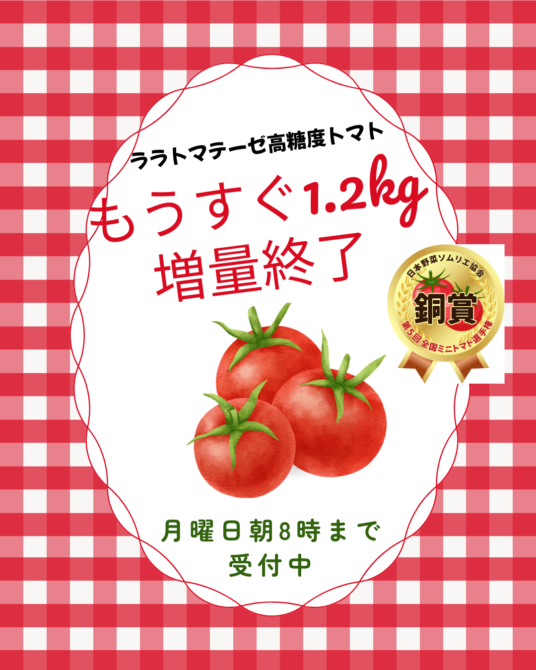 もうすぐ1.2kg増量終了~月曜日朝8時まで