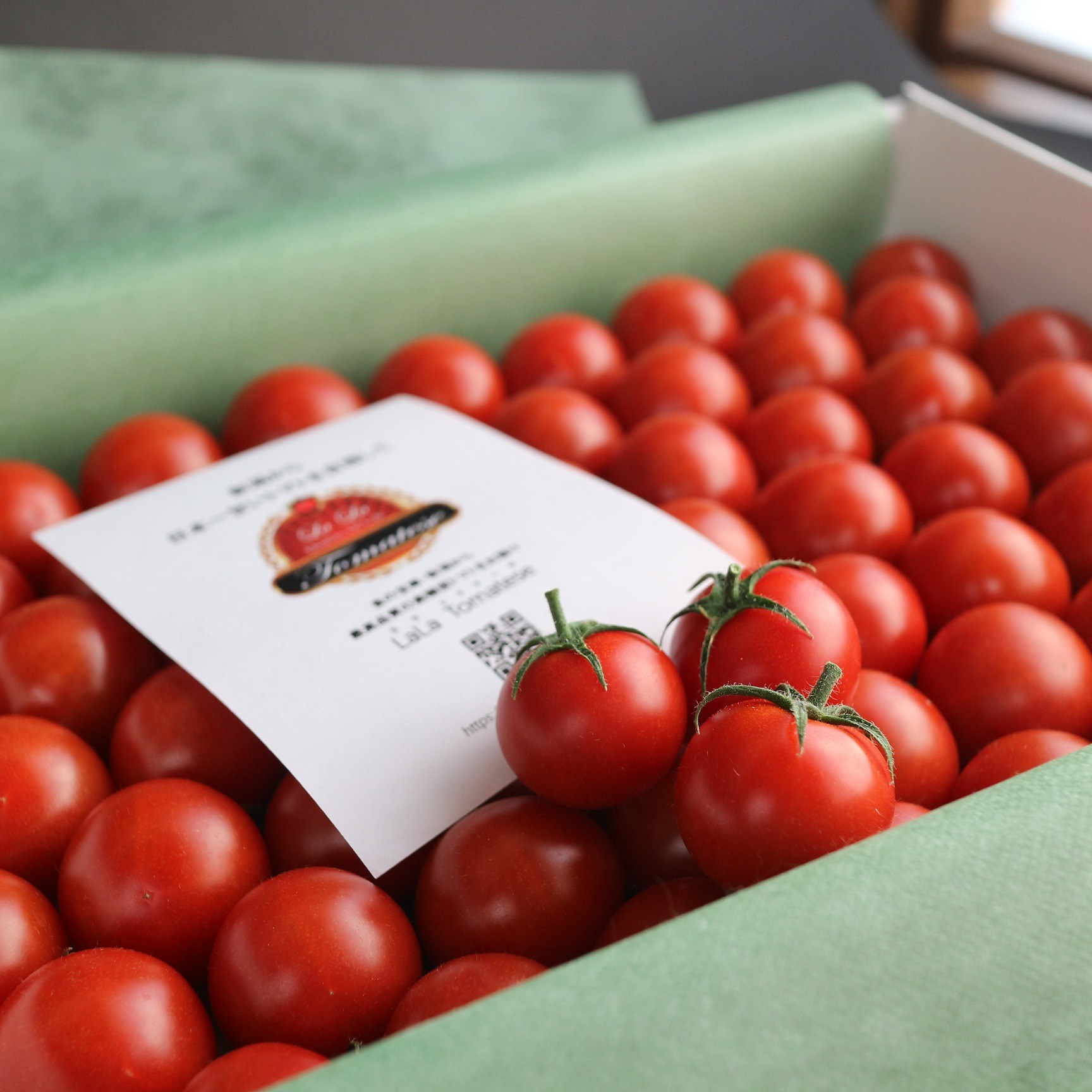 生食用トマトのインターネット販売終了のお知らせ