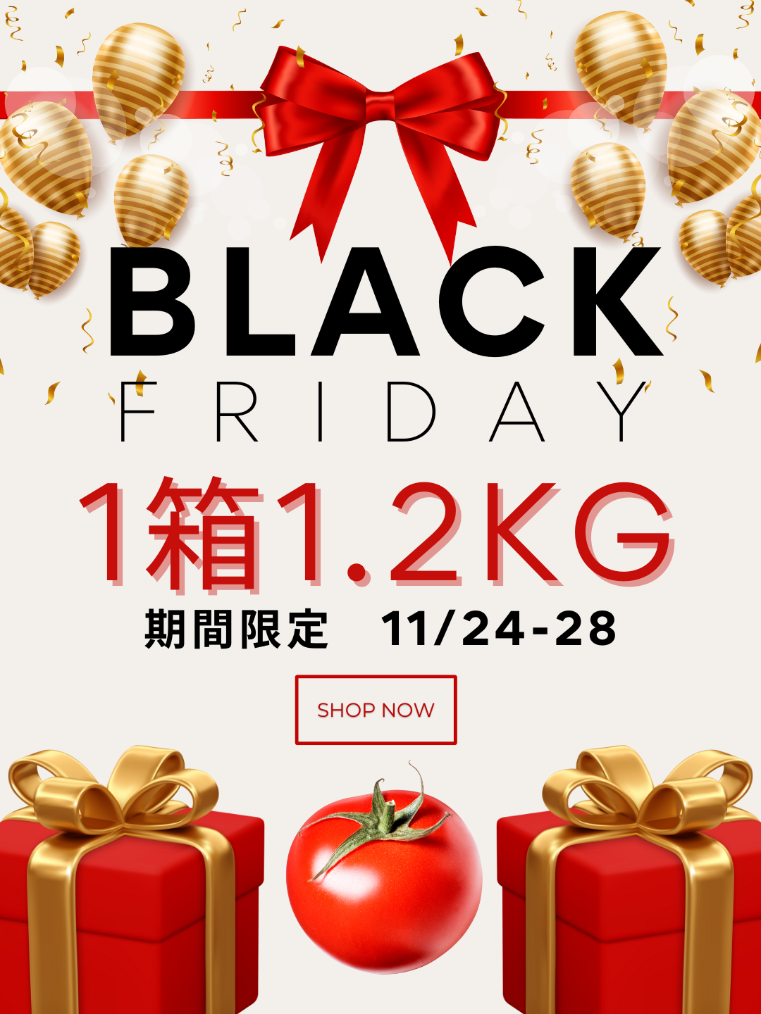 期間限定 ブラックフライデー増量キャンペーン