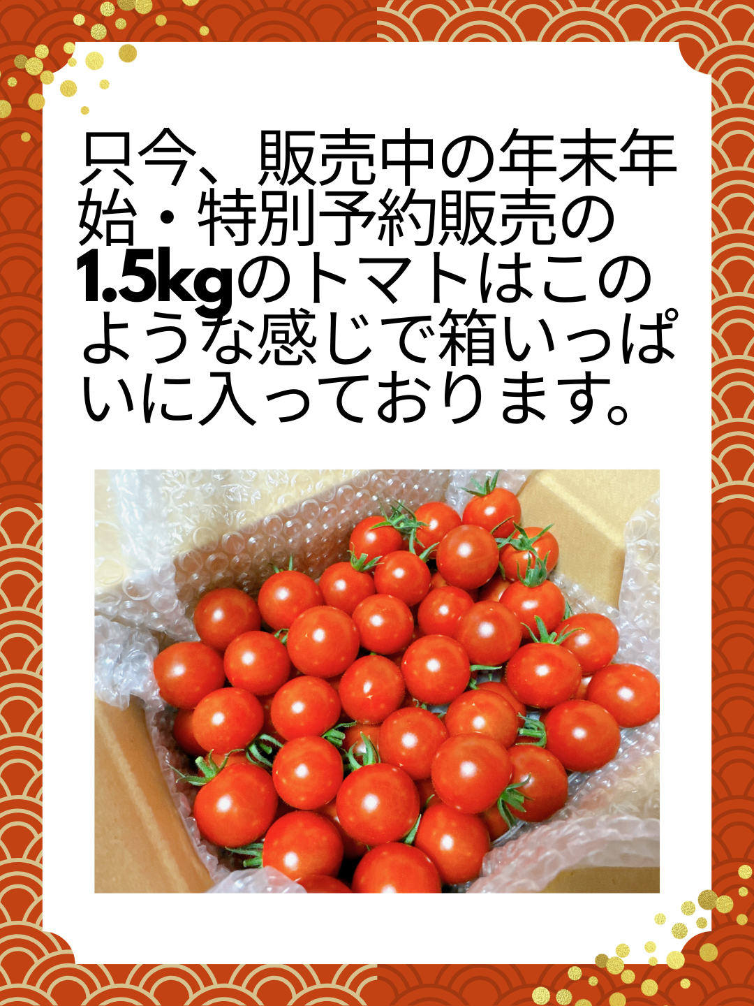 只今、販売中の特別予約販売の箱いっぱいトマト