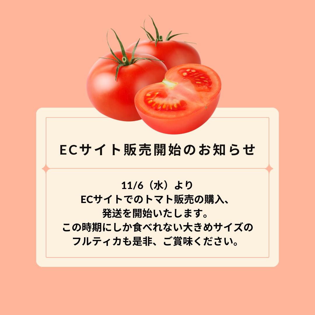 ECサイトでの販売開始のお知らせ