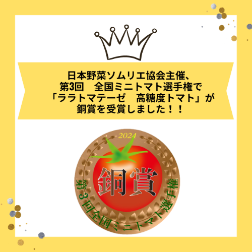 第３回全国ミニトマト選手権、銅賞受賞🌟