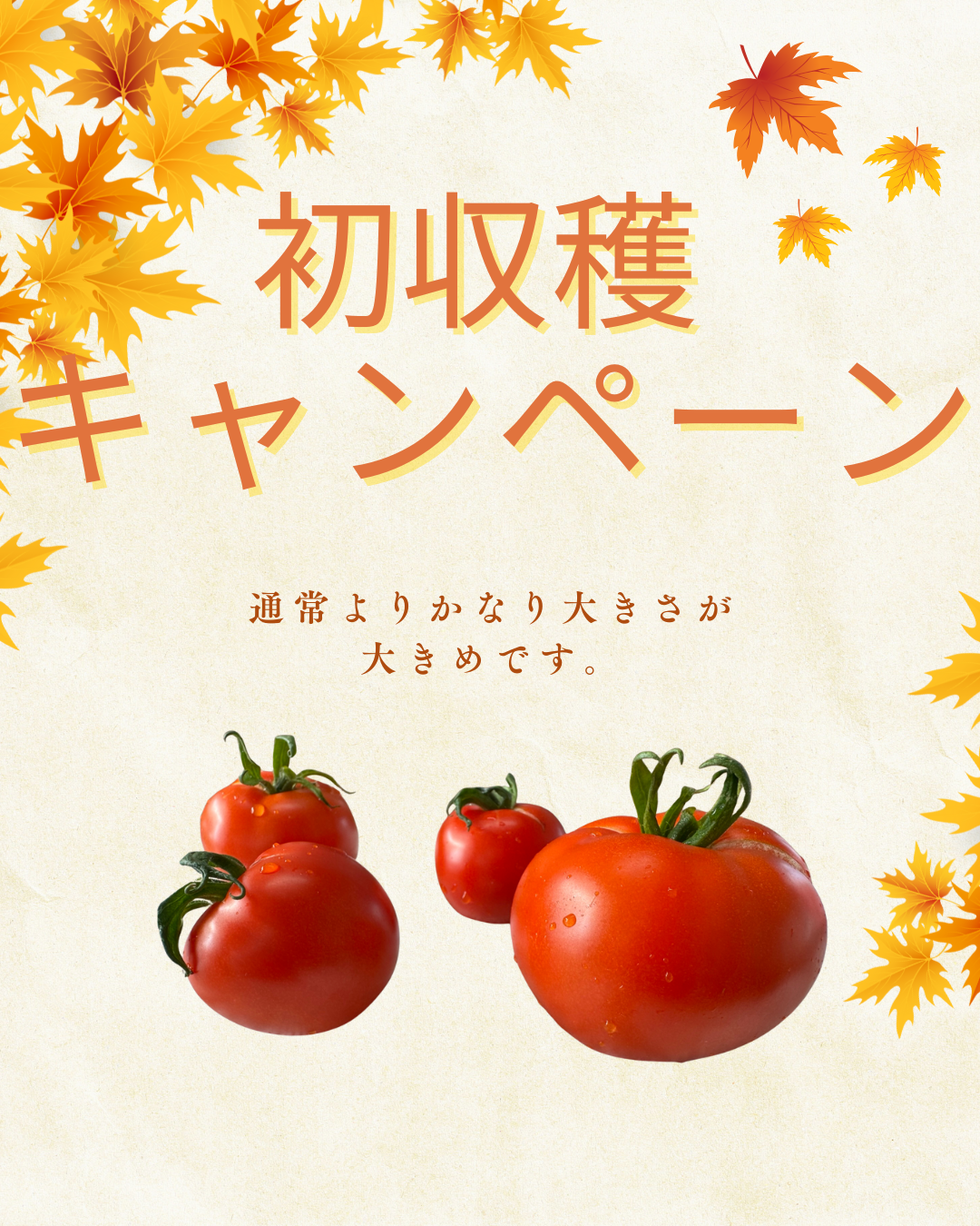 ECサイトでの販売開始のお知らせ