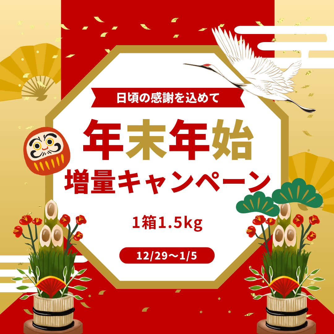 年末年始　ララ・トマテーゼ フルーツトマト 1.5kgの特別予約販売のお知らせ