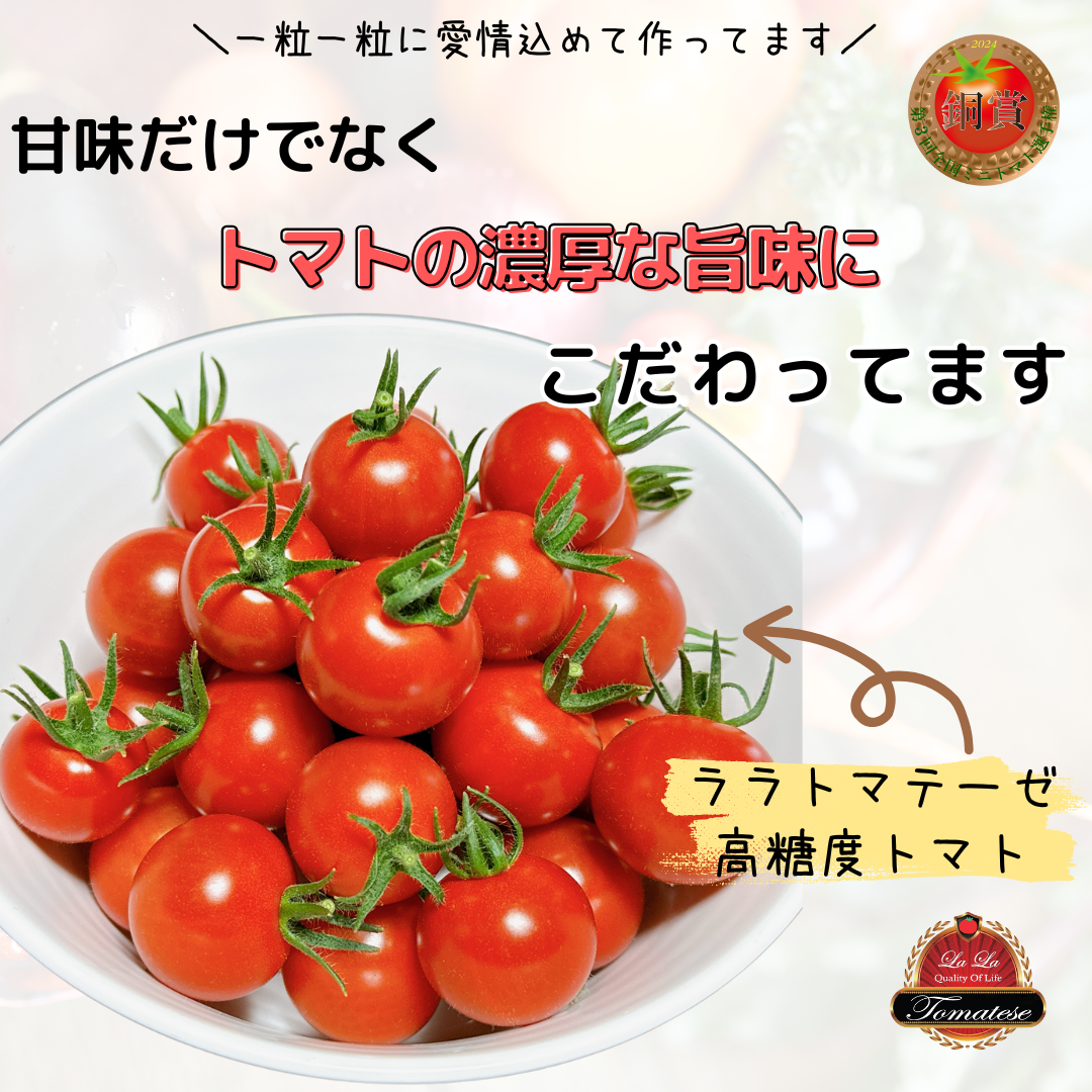 ララトマテーゼ　高糖度トマト　大好評を頂いております！