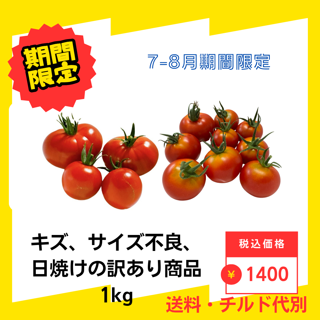 B品のキズ、サイズ不良、日焼け等の訳あり商品の販売