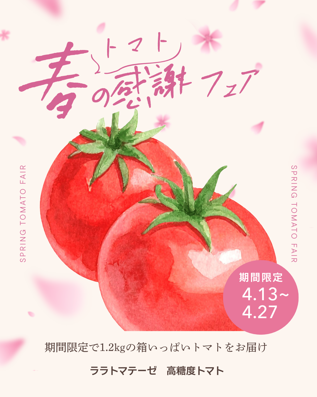 春のトマト感謝フェアのお知らせ