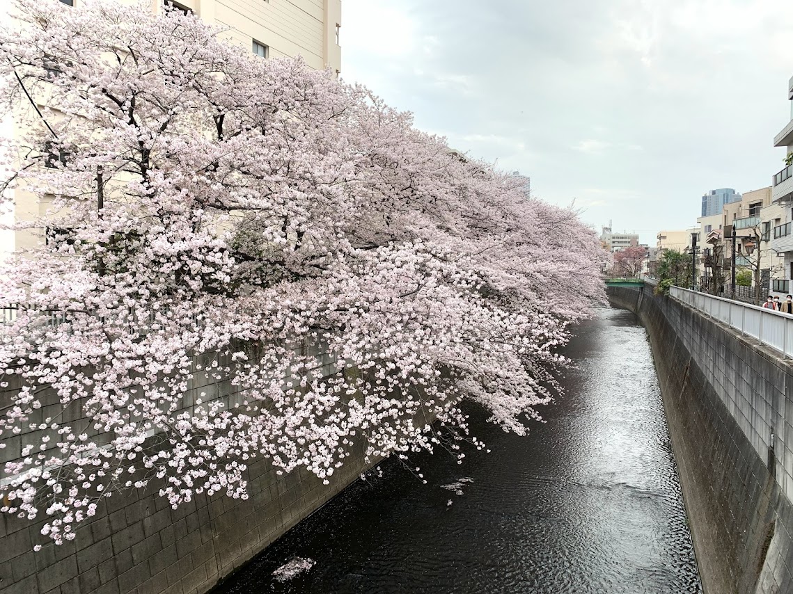 選択はつづくよどこまでも