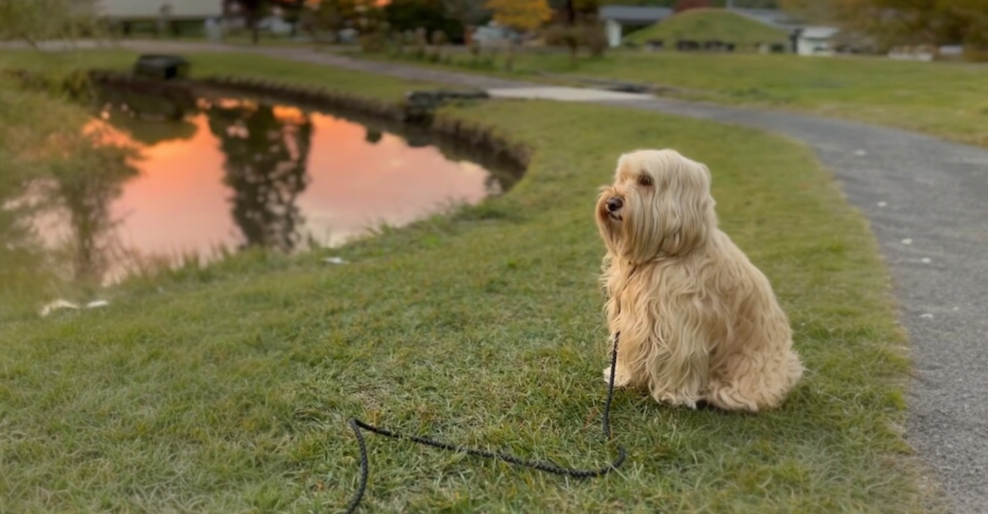 関係を深める距離がある。