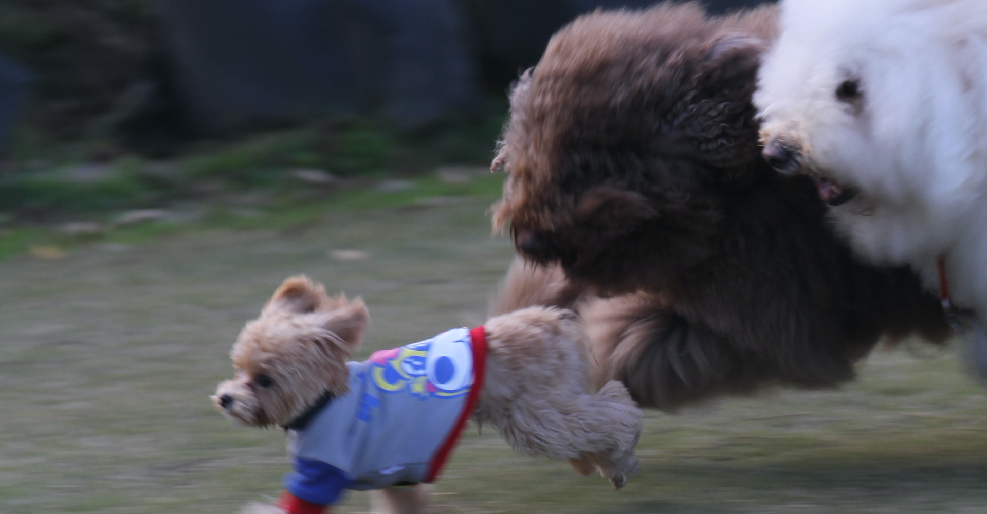 エネルギーバランスを読むということ。