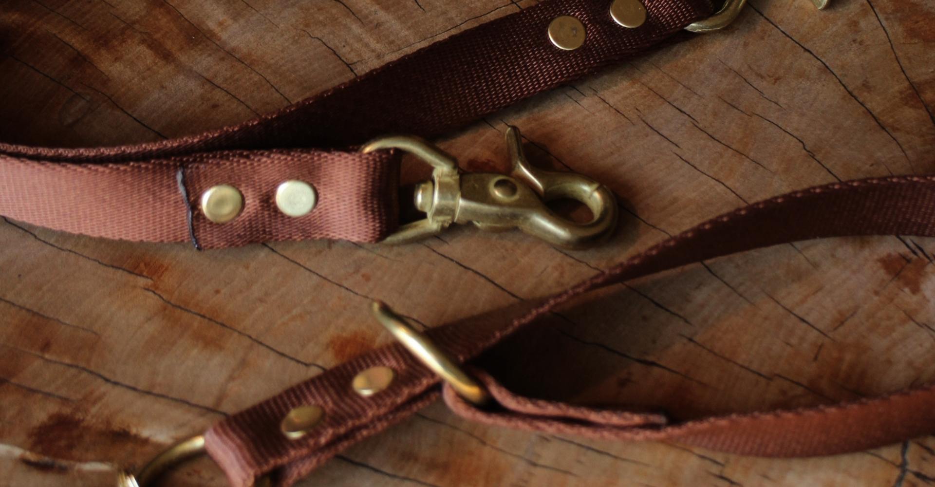 靴を履き替えるように、犬の道具も。