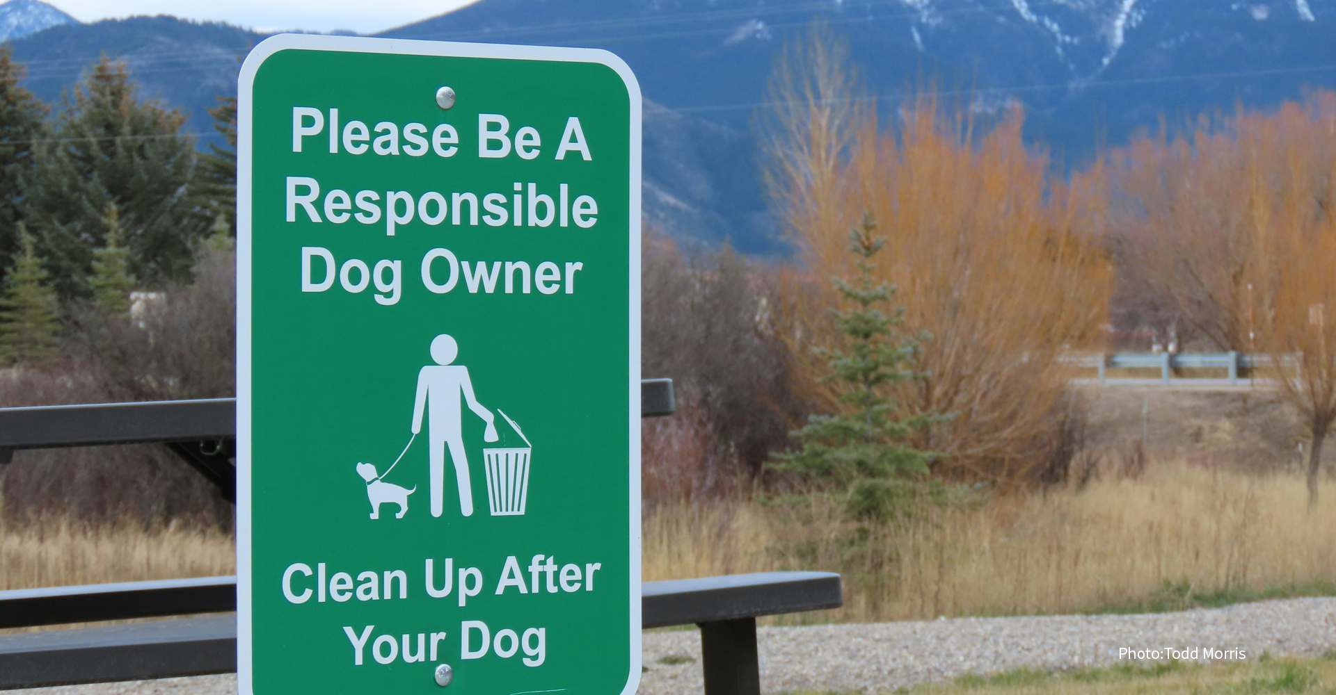 犬のトイレについて考える。