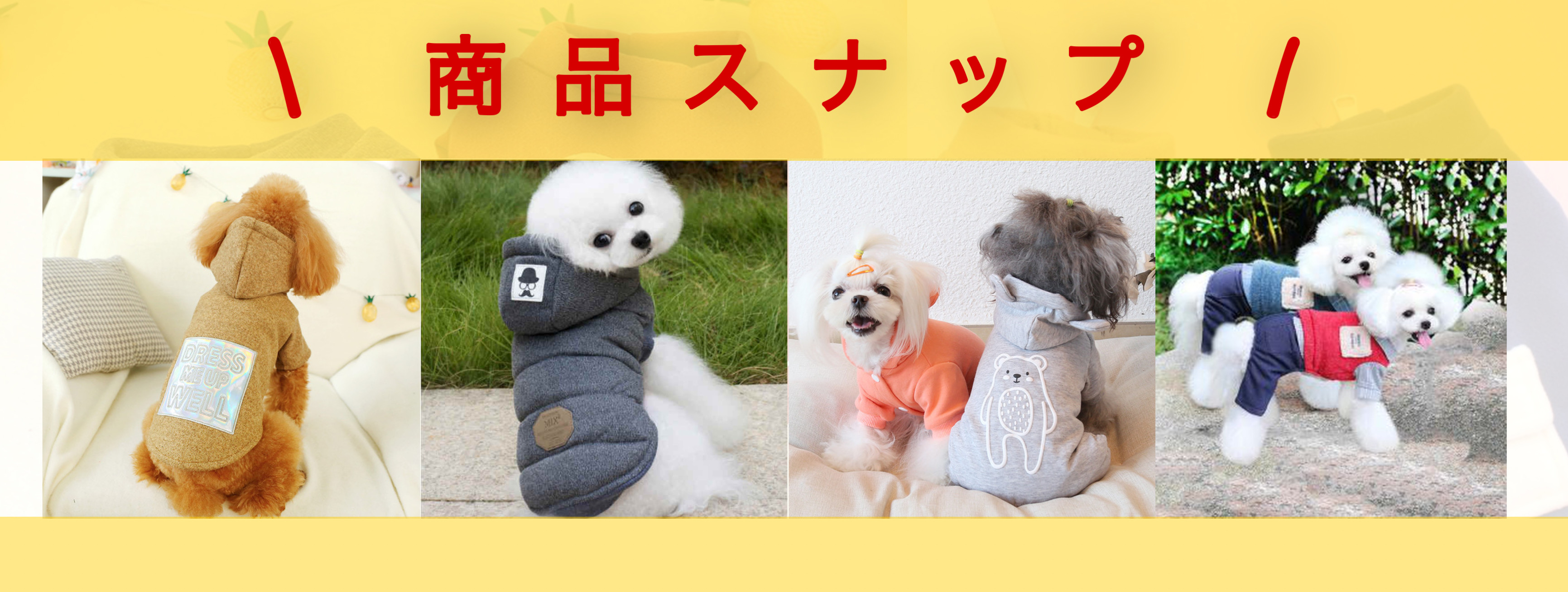 \ 商品スナップ 紹介📸/﻿