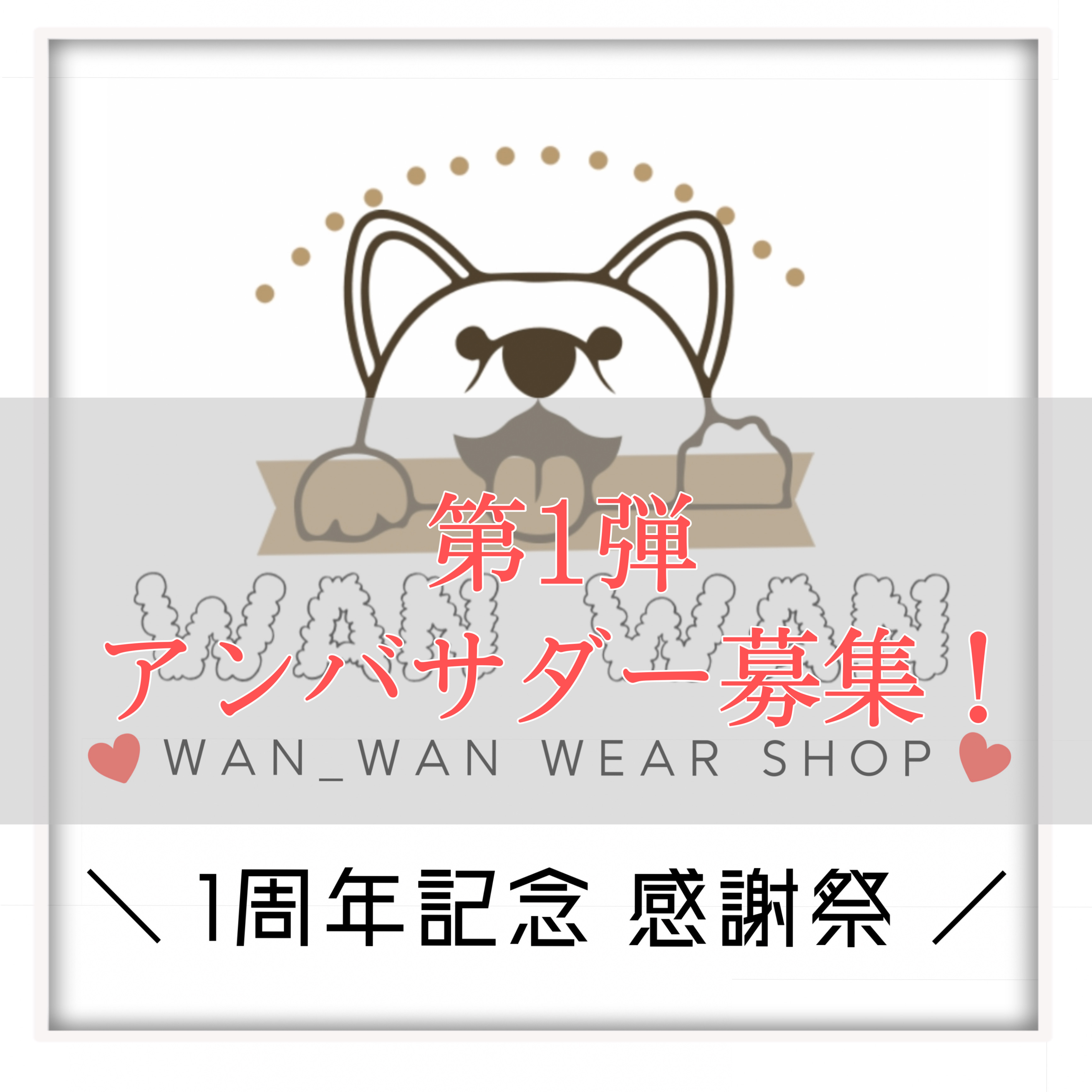 1周年記念感謝祭！ 『第1弾 アンバサダー募集！』