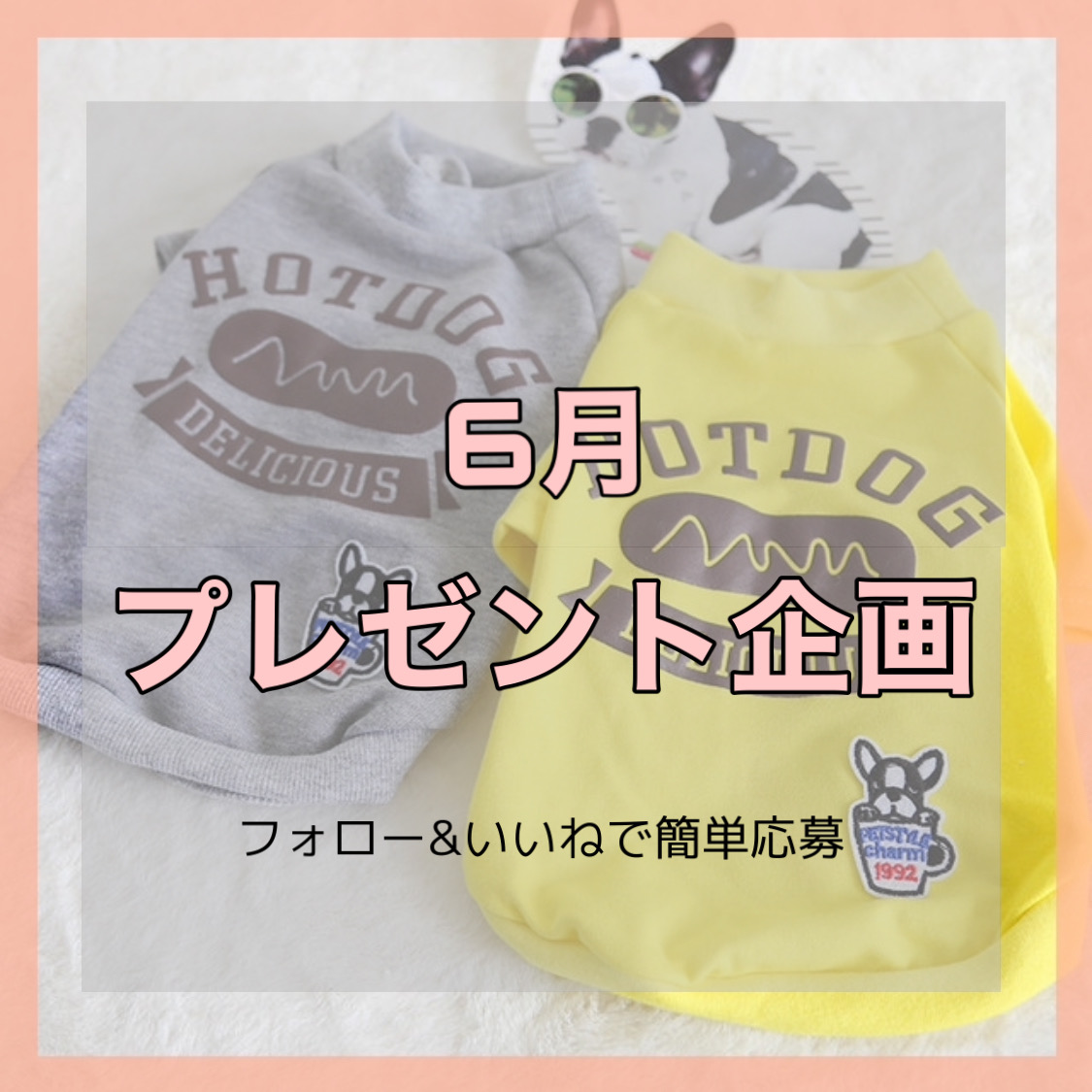 ＼6月プレゼント企画／