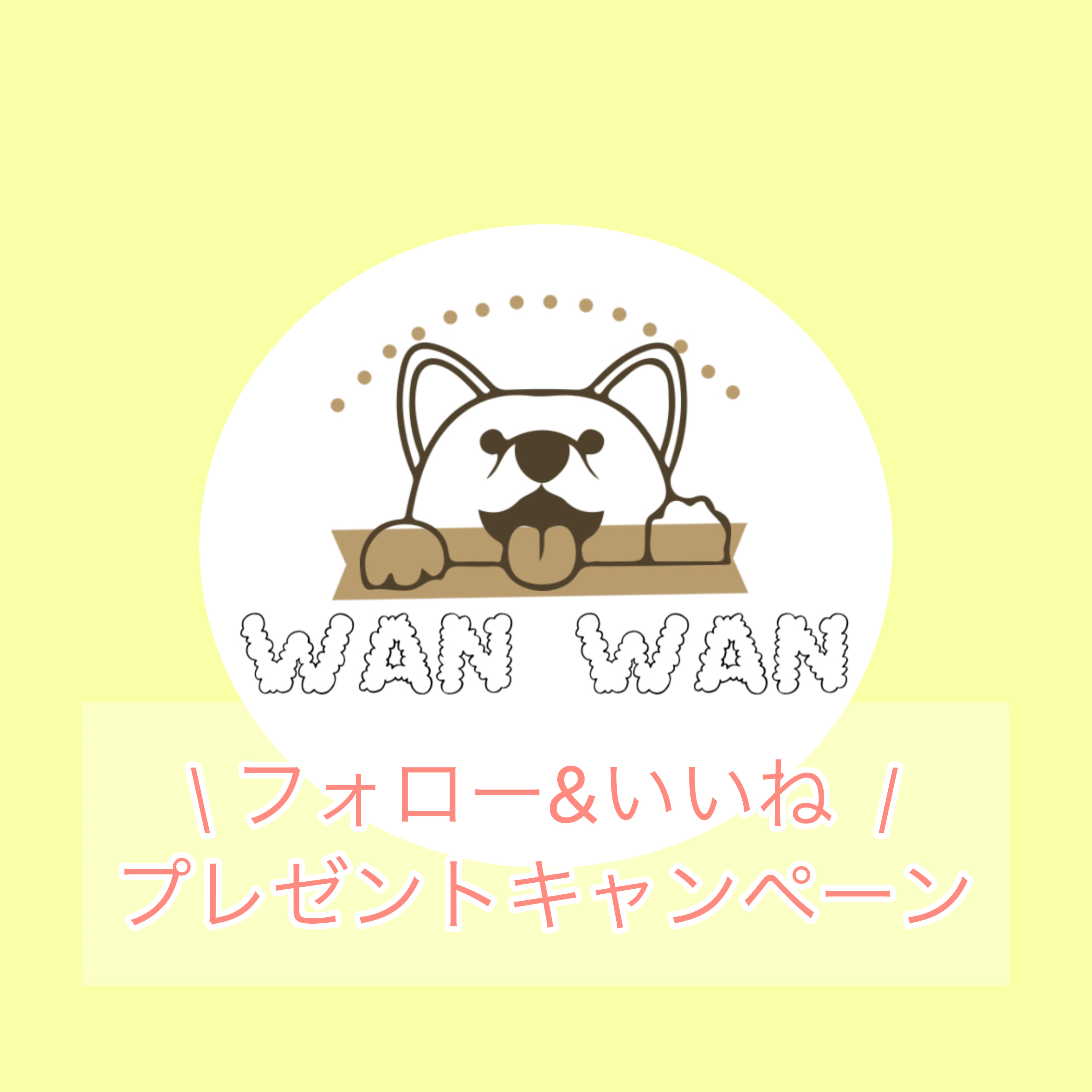 \フォロー&いいね プレゼントキャンペーン/🎁