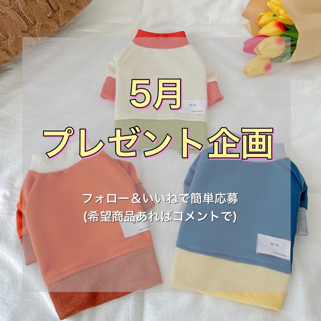 ●5月プレゼント企画！