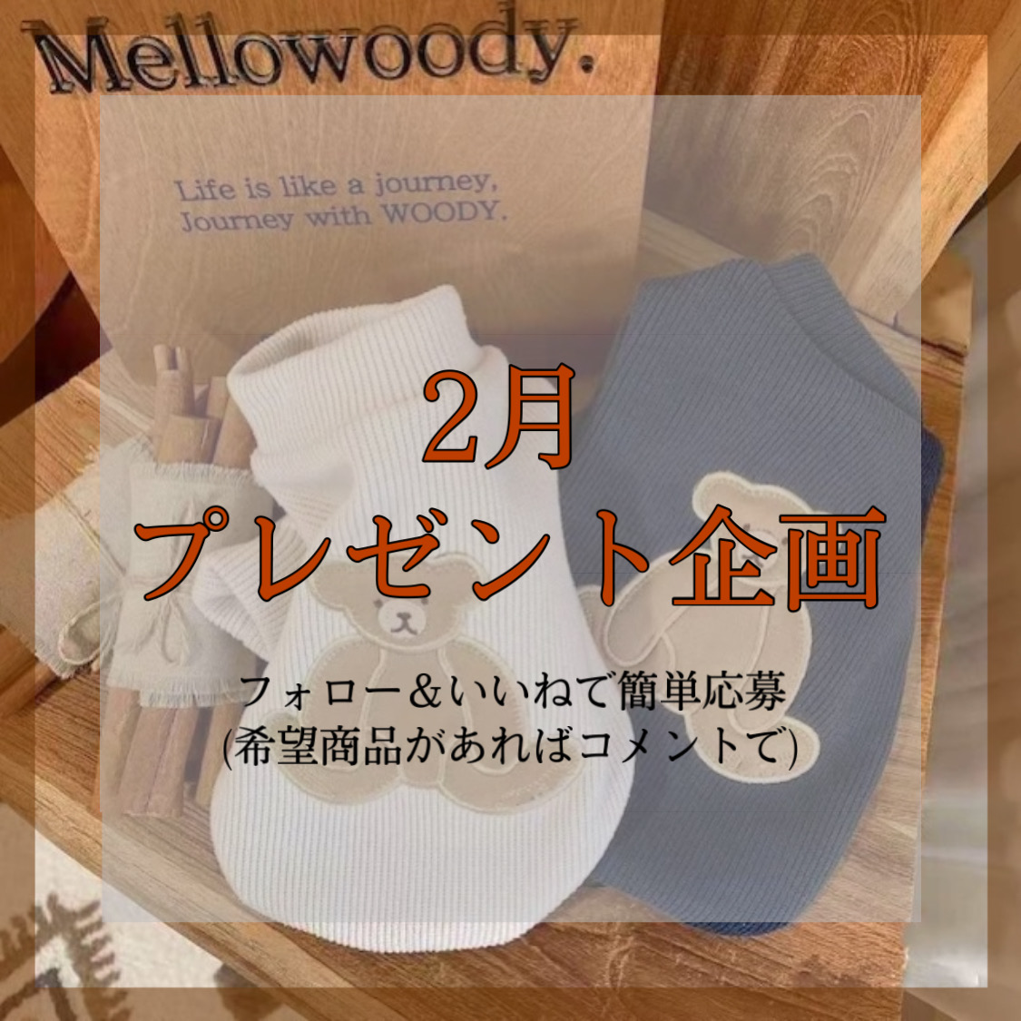 ●2月 プレゼント企画●やります！！