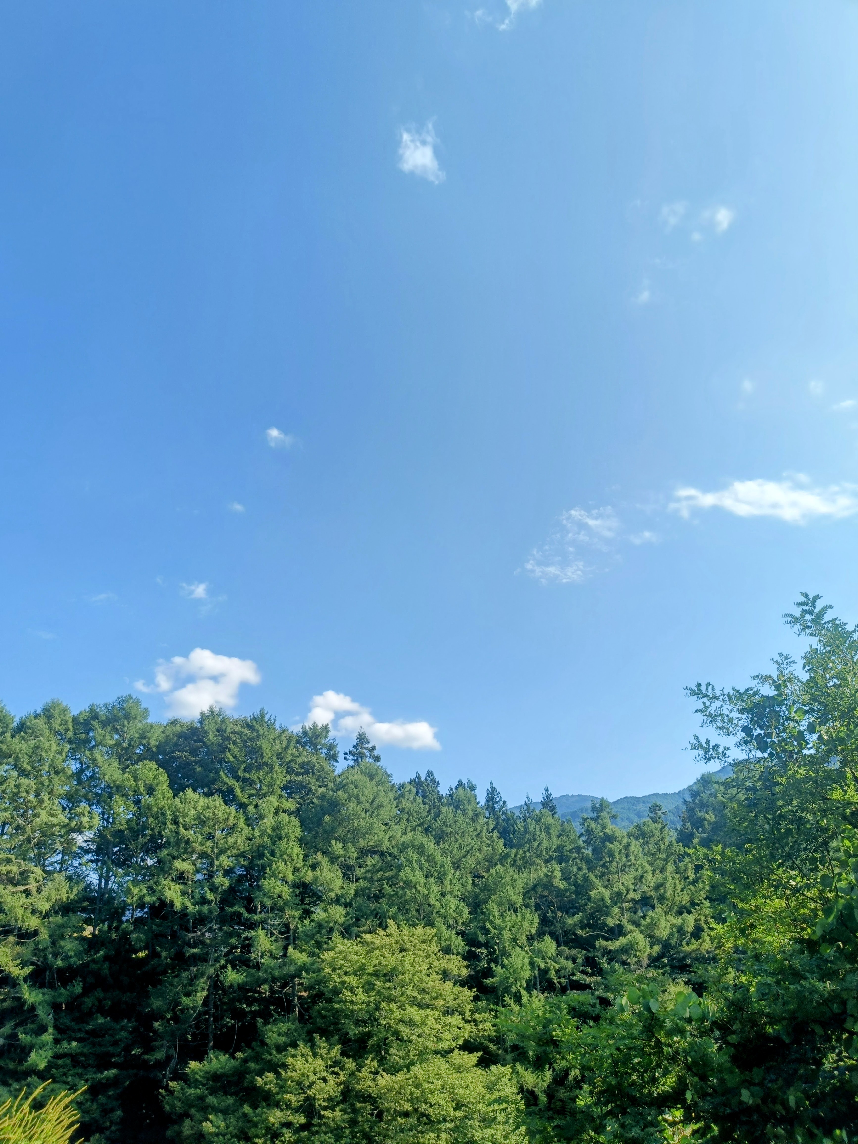 下を見ない世界