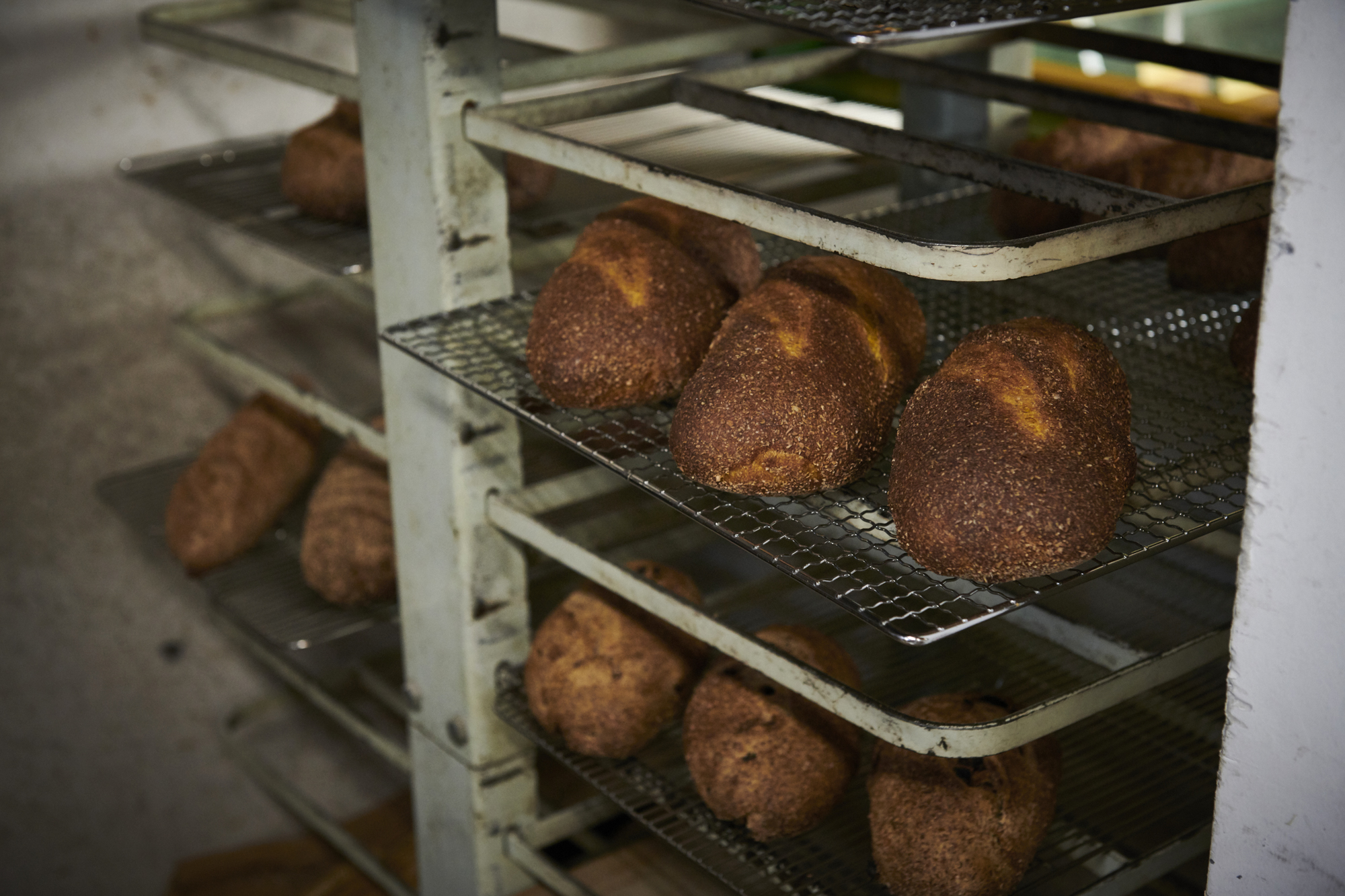 パンの上手な保存・調理方法