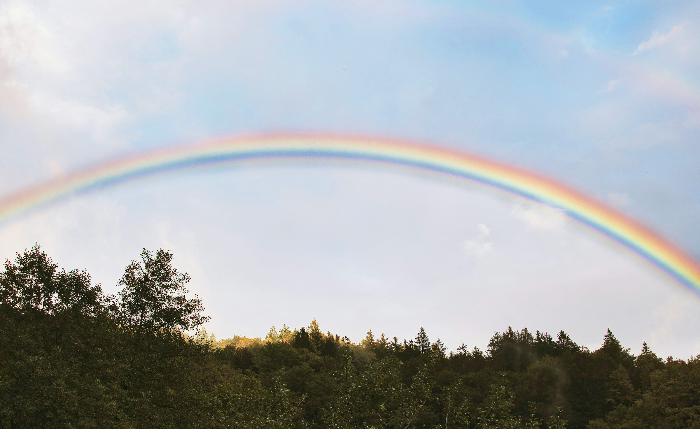 安心には、いくつかのかたちがある。 — Groupe Prévoyeur 1984 —