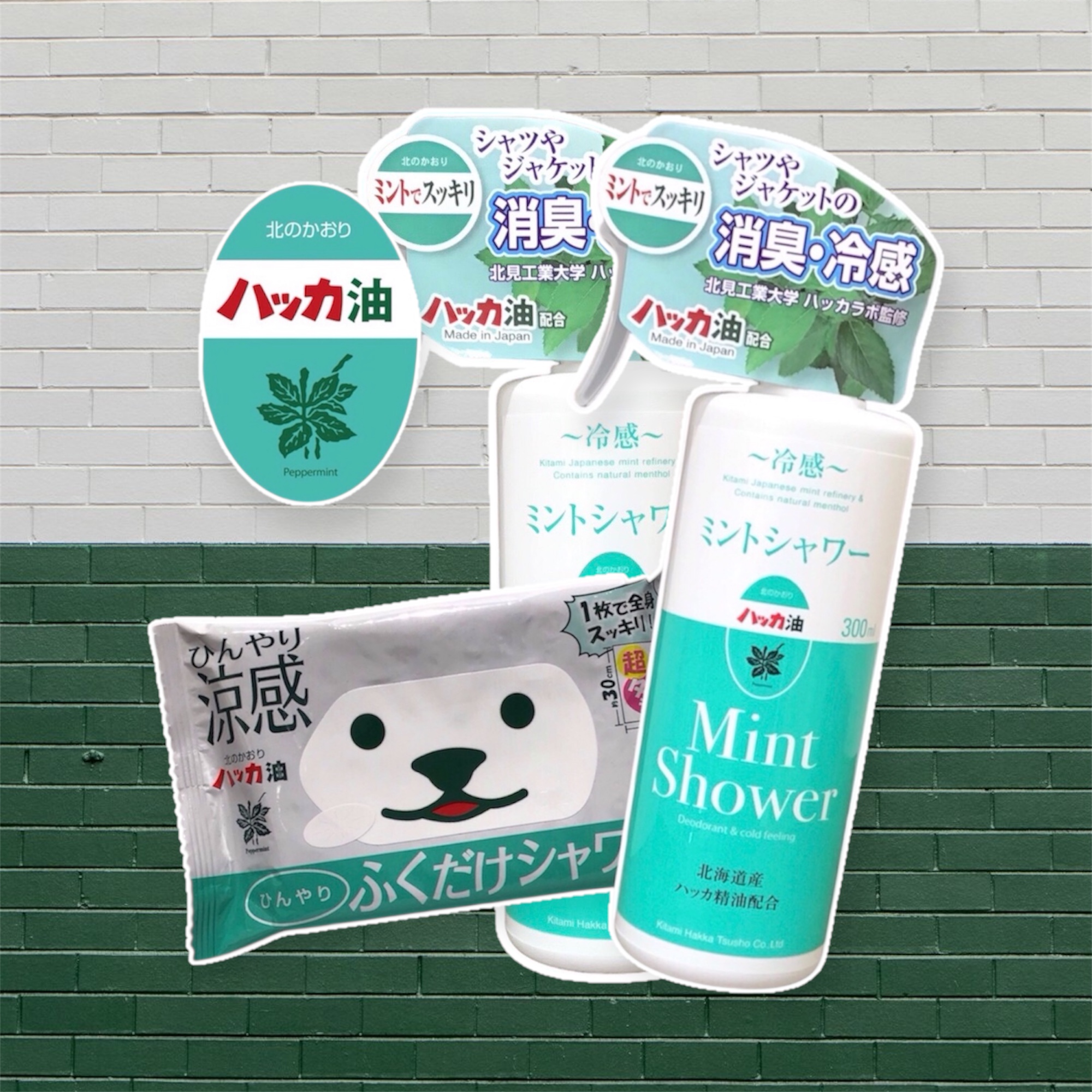 北見ハッカ　ミントシャワーとふくだけシャワーが入荷しました！