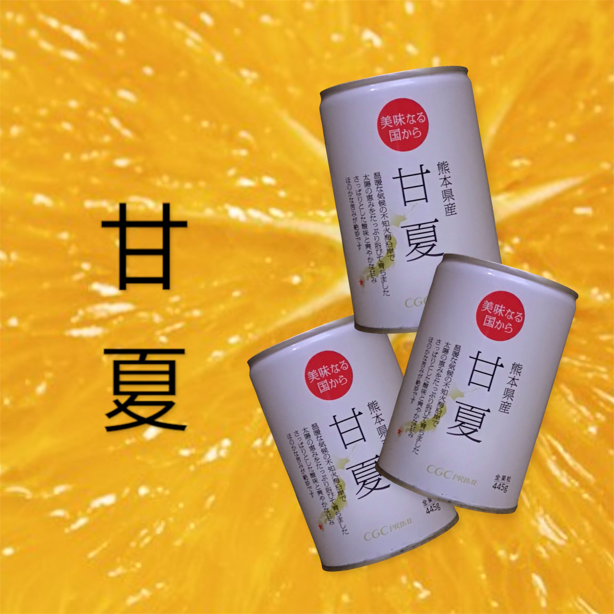 冷やして食べたーい♪「熊本県産甘夏」