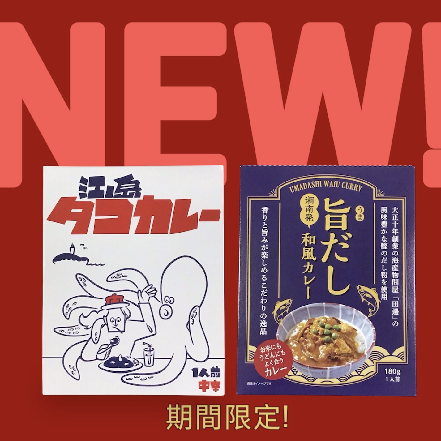 期間限定!「江ノ島タコカレー」と「旨だし和風カレー」