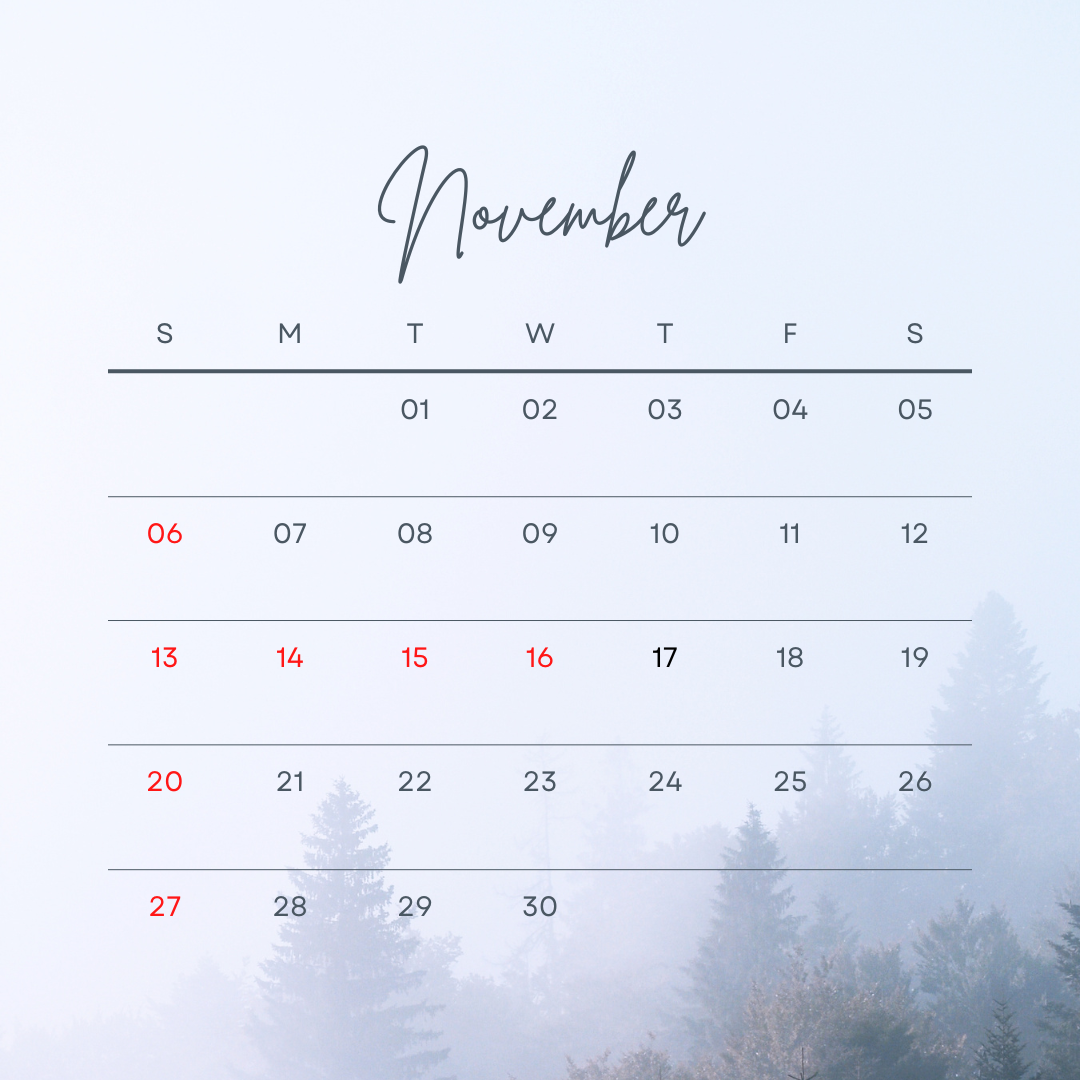 11月のお休みについて