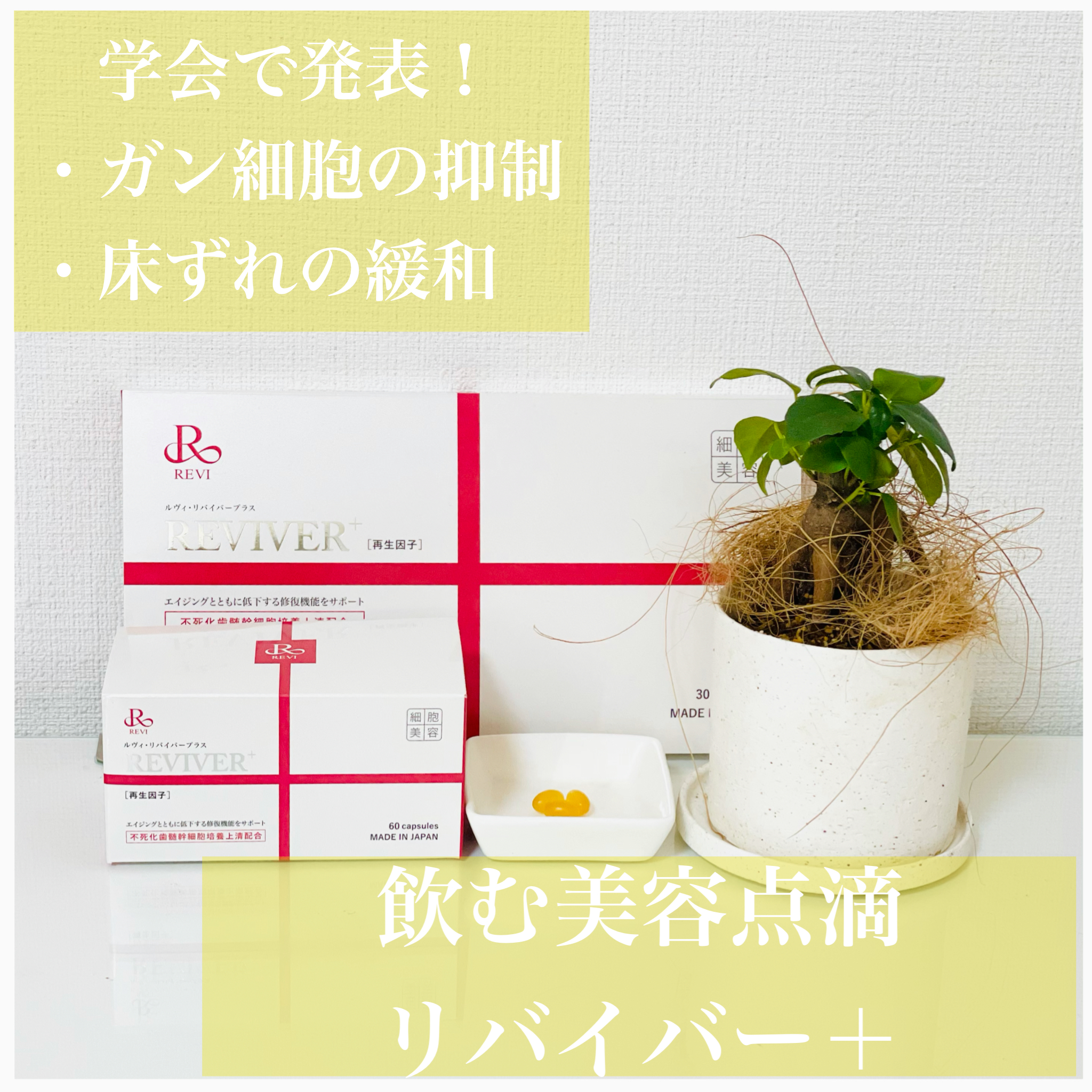【朗報‼️サイトカイン学会で発表‼️‼️】飲む美容点滴！リバイバープラス！