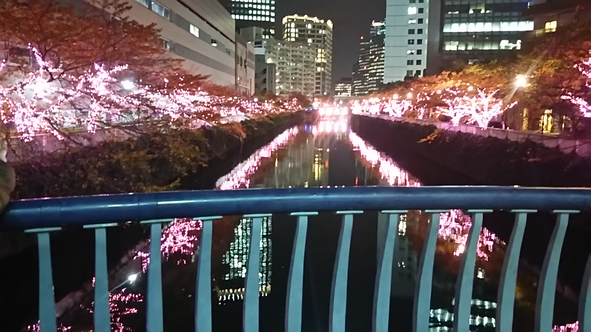 目黒川＊桜＊イルミネーション