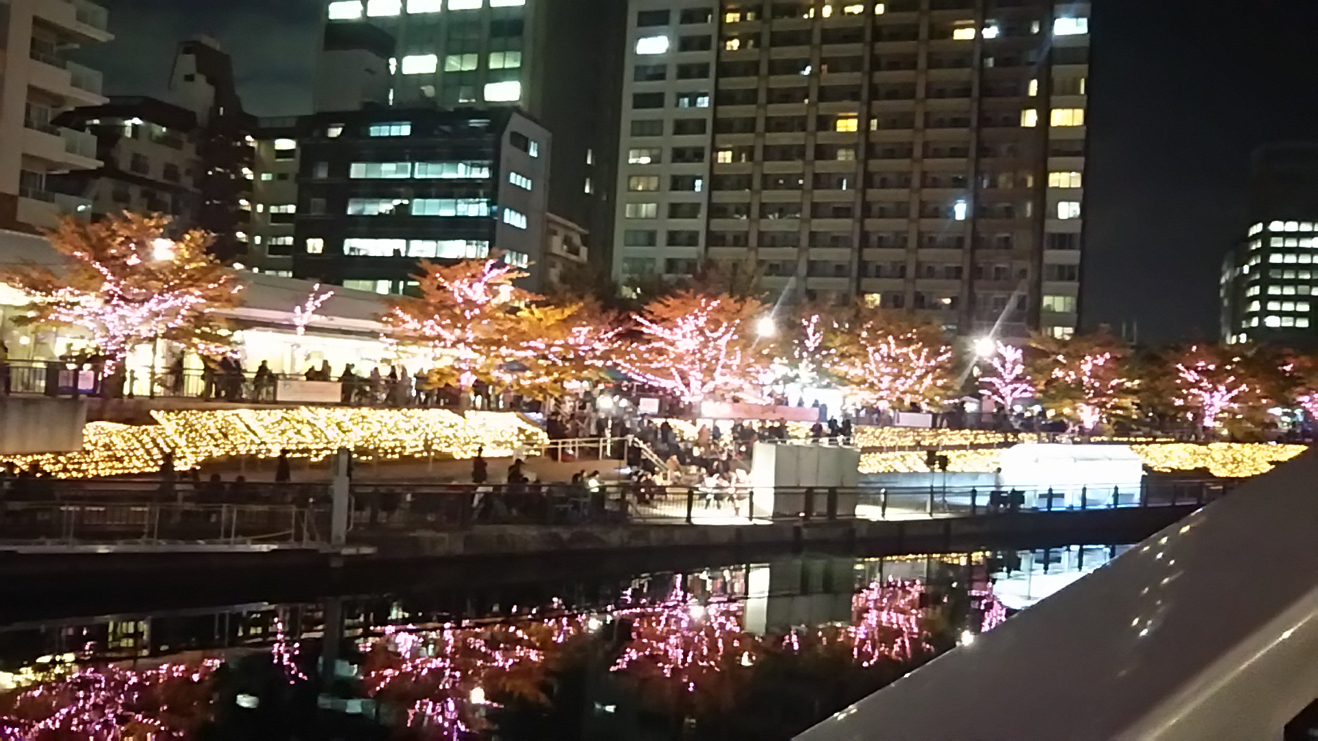 目黒川＊桜＊イルミネーション