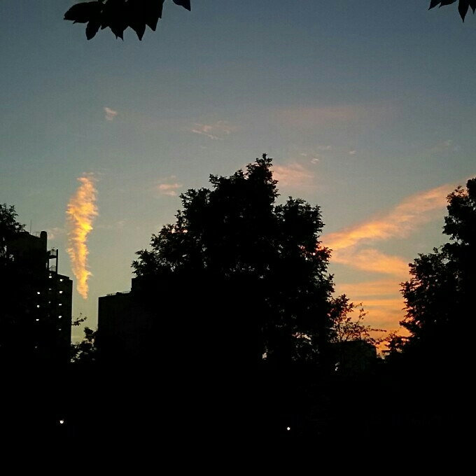 10/2の夕焼け(°Д°)雲… ？