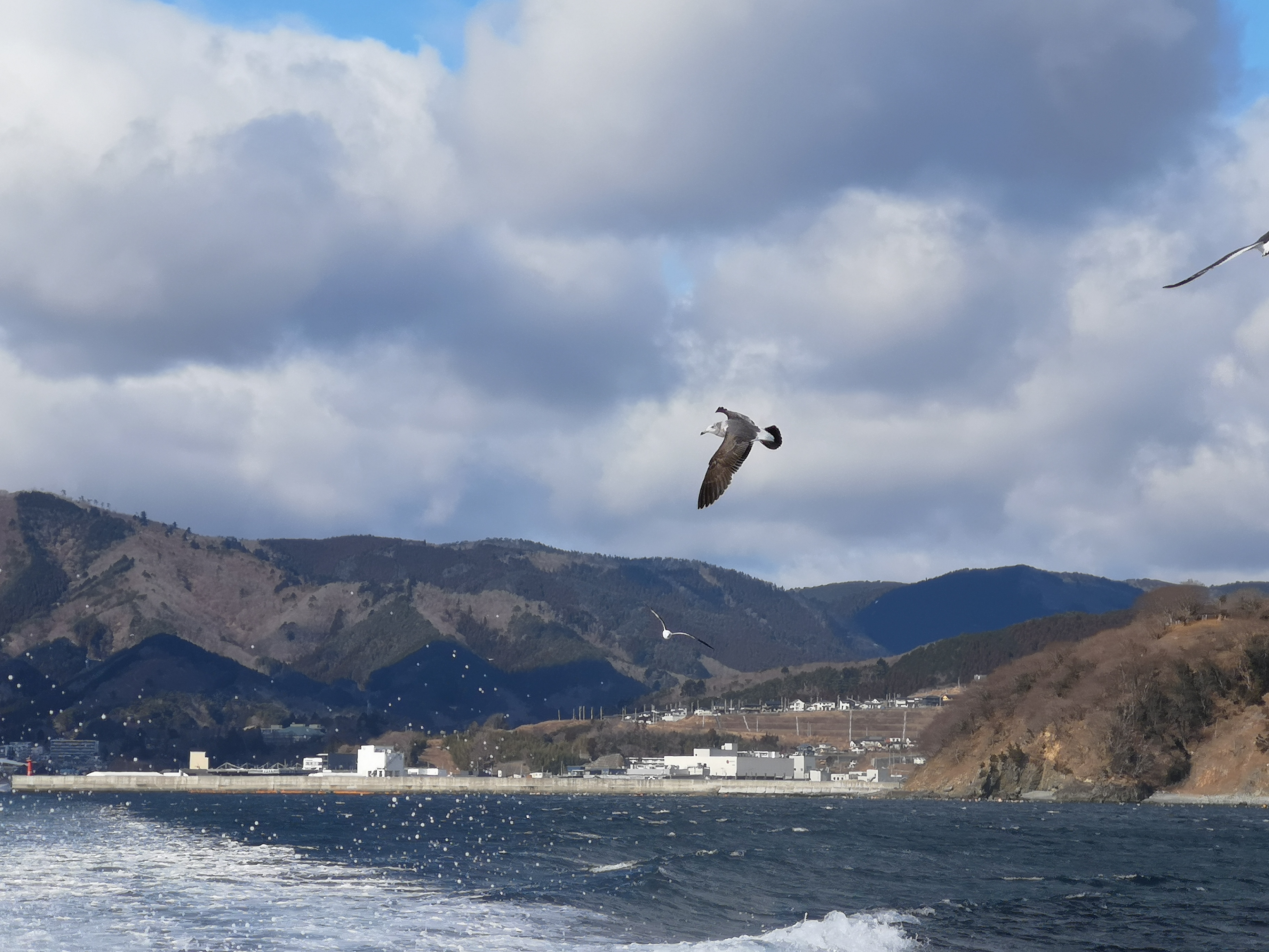 ～東北大震災から11年～