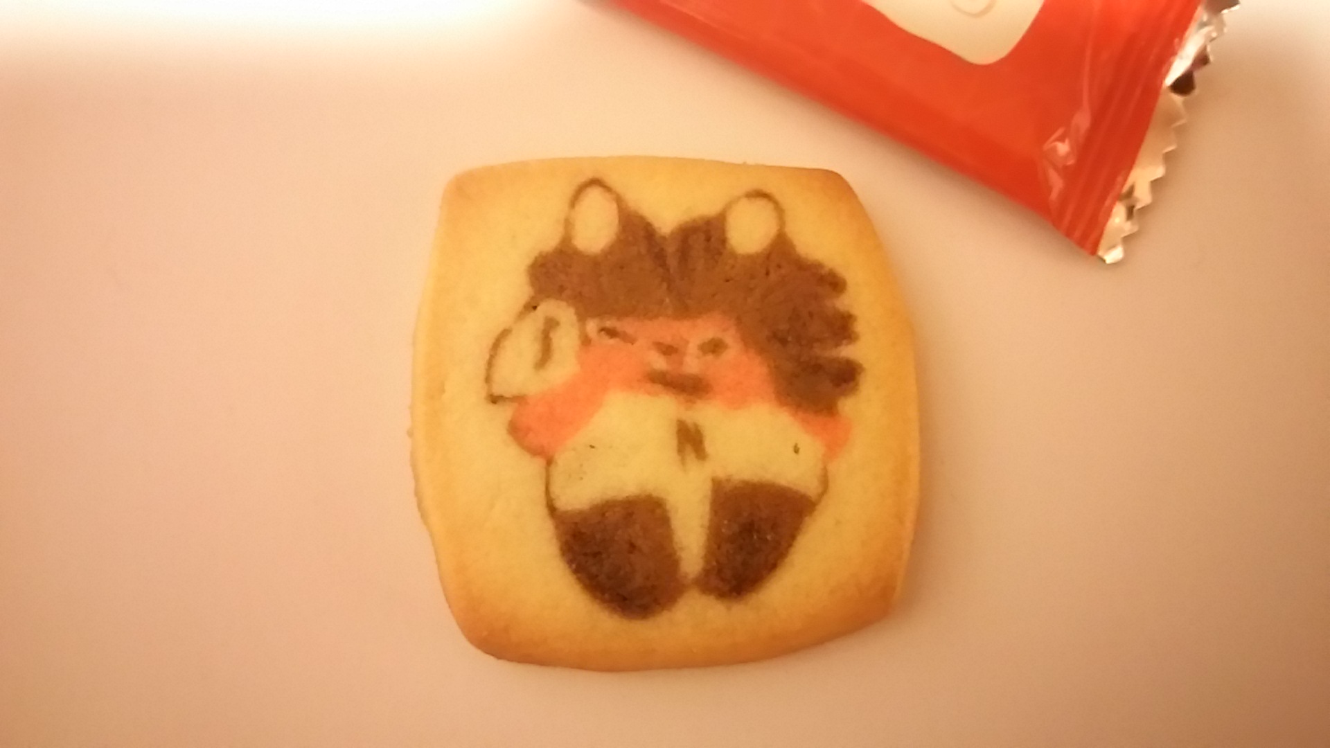 お腹に『N』って…‥(゜_゜;)袋より顔こわい～(°Д°) 