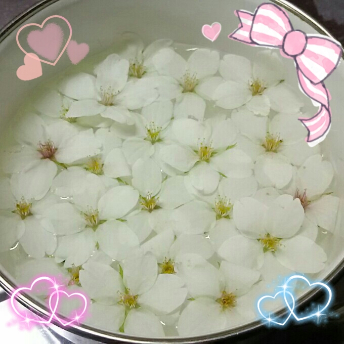 桜の花びら( ・∇・)