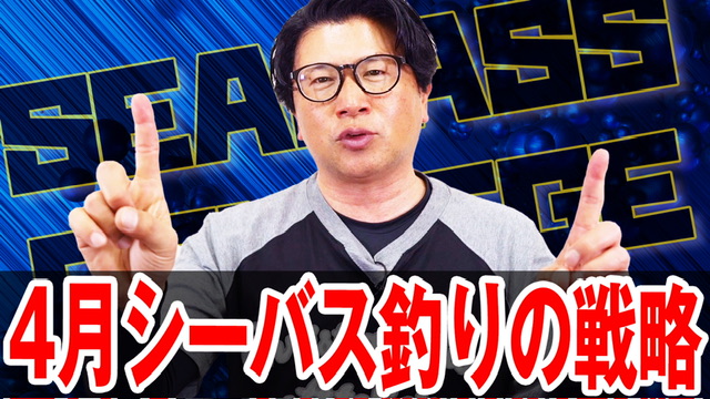 4月シーバス釣りの戦略❗️マイクロベイトを攻略❗️