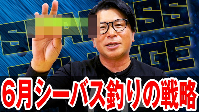 6月シーバス釣りの戦略❗️