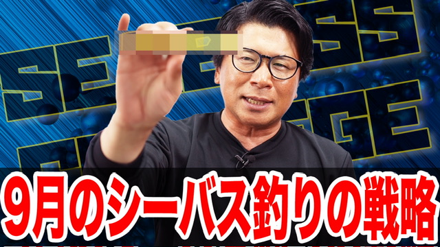 9月シーバス釣りの戦略❗️秋の条件とは！？