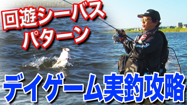 回遊パターン攻略❗️デイゲーム実釣動画‼️