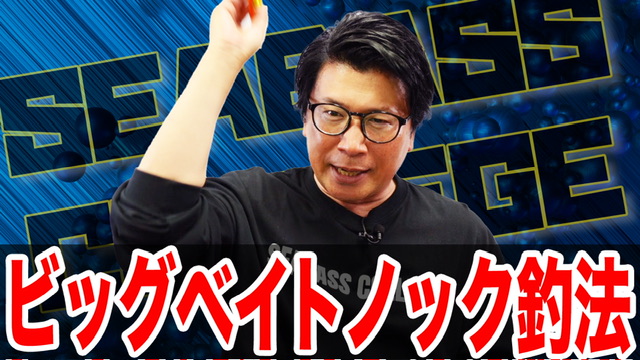 ビッグベイトノック釣法‼️