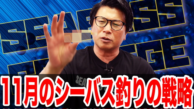 11月シーバス釣りの戦略❗️