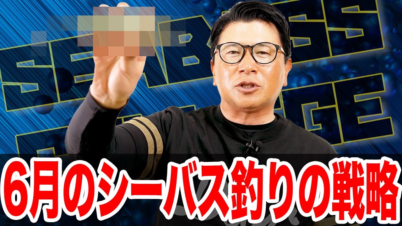 6月シーバス釣りの戦略‼️