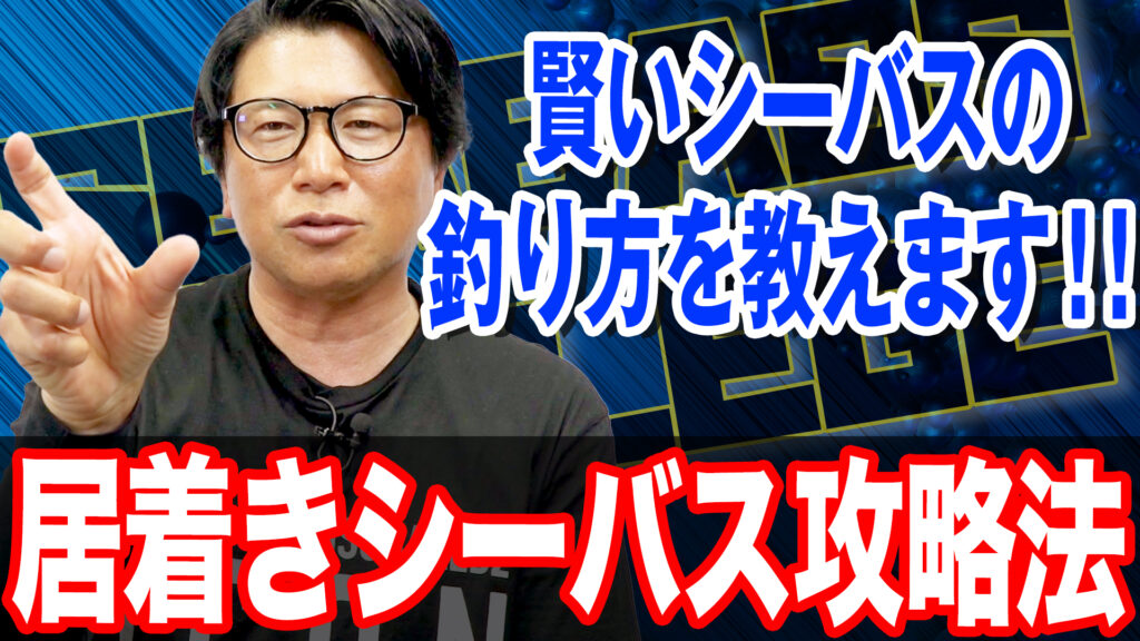 居着きシーバス攻略法‼️秋こそ居着きを攻略すべし☝️