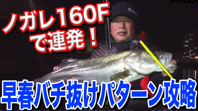 バチ抜けシーバス実釣攻略動画❗️
