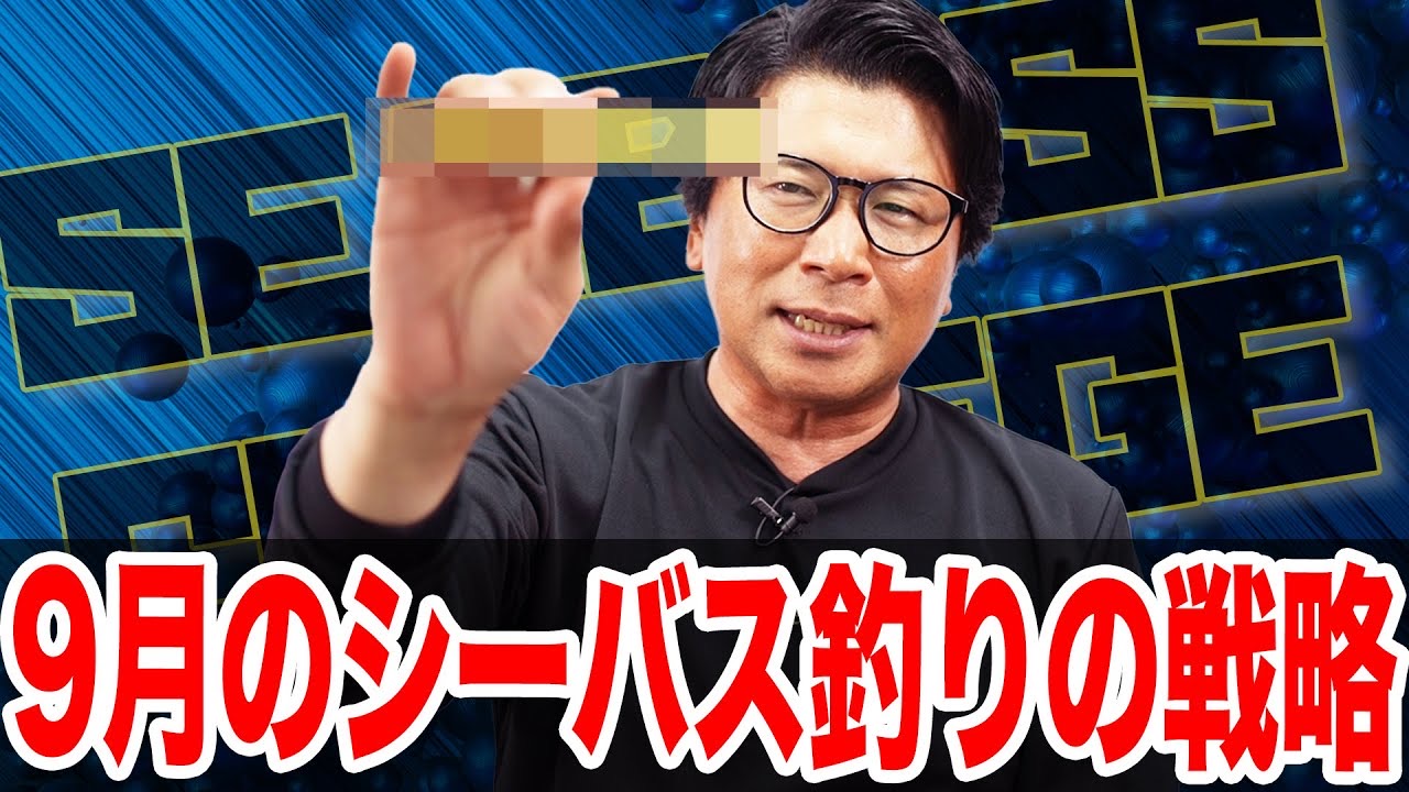 9月シーバス 釣りの戦略❗️